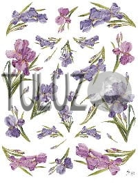 034-bis Decomania Classica  30 X 42