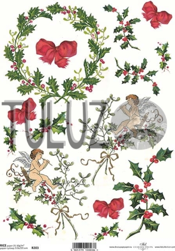 R203 small.JPG