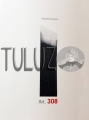 308 Dłuto do linorytu  RGM Tuluz.JPG