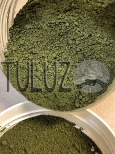 41750 Ziemia zielona z Vagone 75g Pigment Kremer