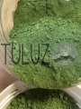 44605 Zieleń Jasna Moss Green Pigment Kremer..jpg