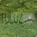 44605 Zieleń Jasna Moss Green Pigment Kremer__.jpg