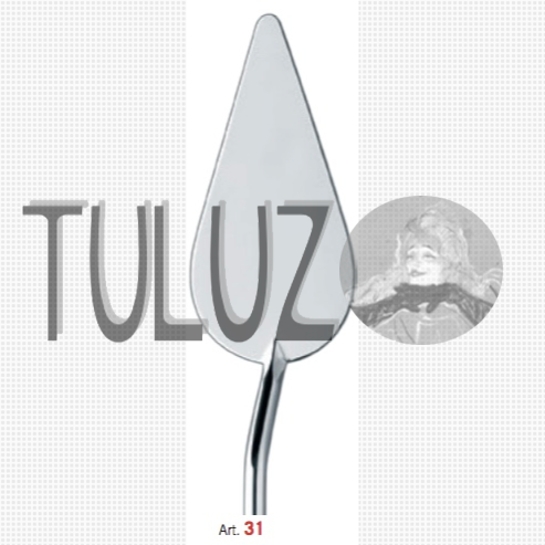 Szpachla H31 RGM TULUZ.PNG