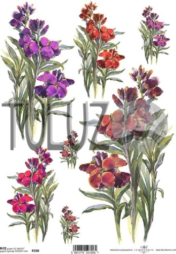 R390.jpg