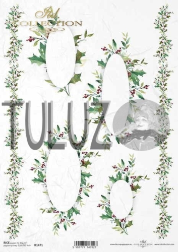 R1471 TULUZ.jpg