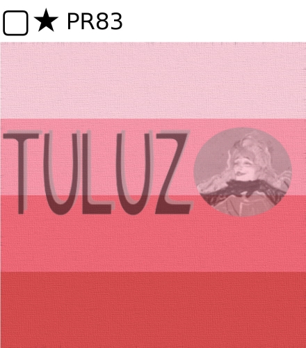 326 Madder Lake Charbonnel Farba Graficzna 331475.jpg