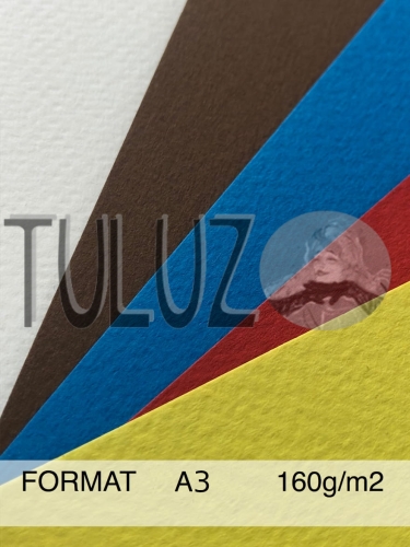 Papier Tiziano Fabriano Gamma tuluz.pl a3 (1).JPG