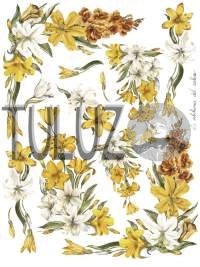 092-bis Decomania Classica  30 X 42