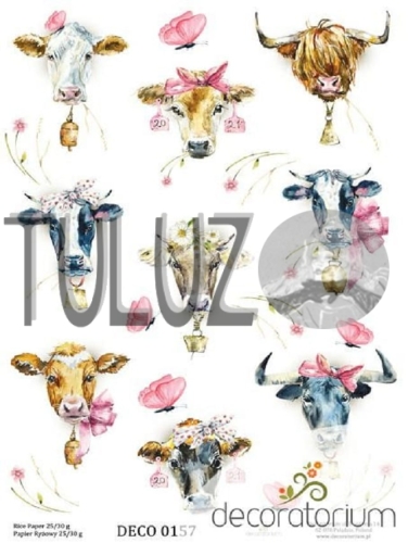 papier-ryzowy-grafika-a4-25g-m2 0157 tuluz.jpg