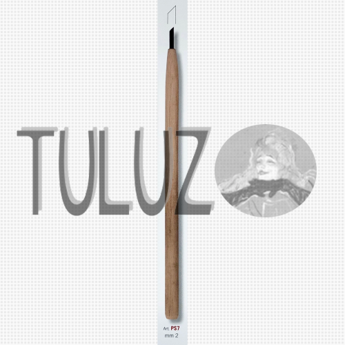 SUCHA IGŁA PS7 RGM TULUZ.PNG