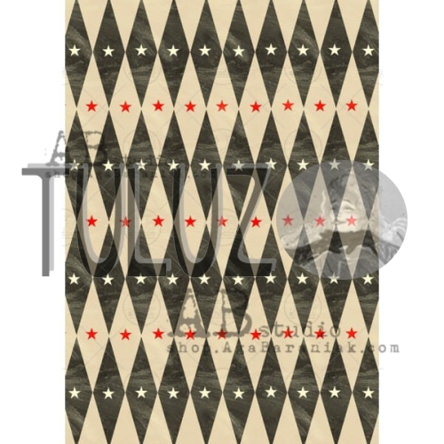 papier ryżowy AB studio Aga Baraniak  0260  Tuluz.jpg