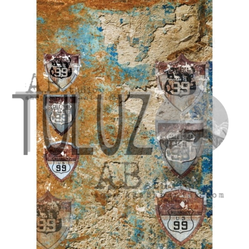 papier ryżowy AB studio Aga Baraniak  0143  Tuluz.jpg