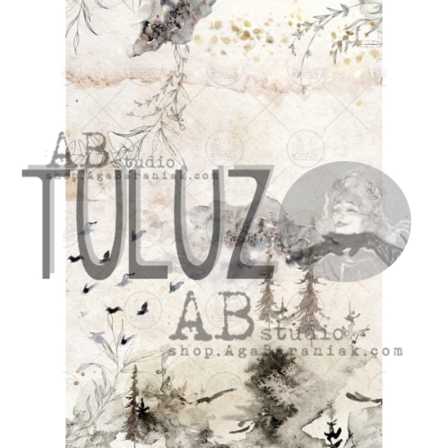 papier ryżowy AB studio Aga Baraniak  0217  Tuluz.jpg