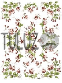 016-bis Decomania Classica  30 X 42