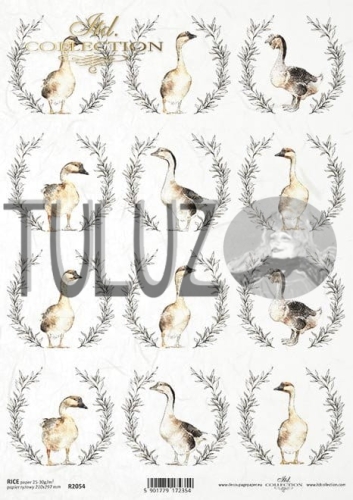 papier ryżowy ITD Collection R2054  tuluz.jpg