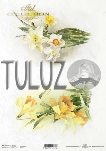 papier ryżowy ITD Collection R1977  tuluz.jpg