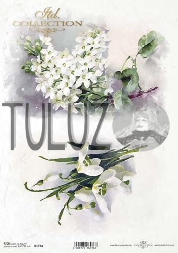 papier ryżowy ITD Collection R1974  tuluz.jpg