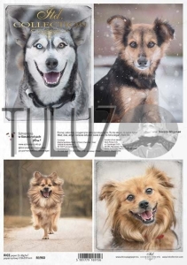 ITD Collection papier ryżowy A4 psy kod.prod.R1960