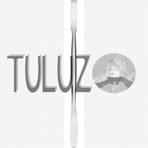 712 Dłutko restauracyjno-konserwatorskie RGM TULUZ SN.PNG
