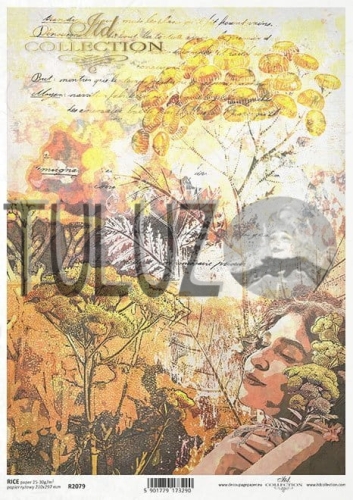 R2079 papier ryżowy ITD Collection tuluz.jpg