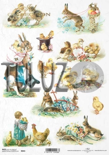 R0843 papier ryżowy ITD Collection tuluz.jpg