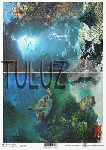 R2084 papier ryżowy ITD Collection tuluz.jpg