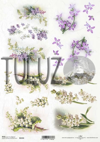 R2193 small M.jpg