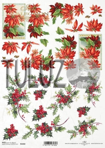 papier ryżowy ITD Collection R2260  tuluz.jpg