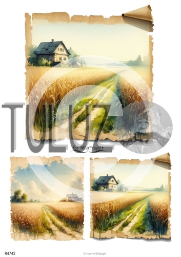 Papier ryżowy for Mila Project R4742 tuluz.jpg