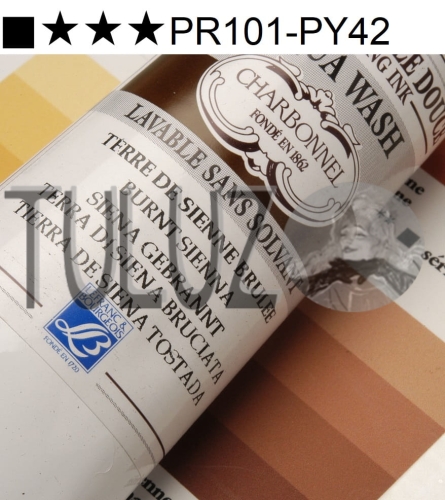 481 Burnt Sienna 60ml farba graficzna wodna Charbonnel Aqua Wash Etching Ink TuLuz.pl.jpg