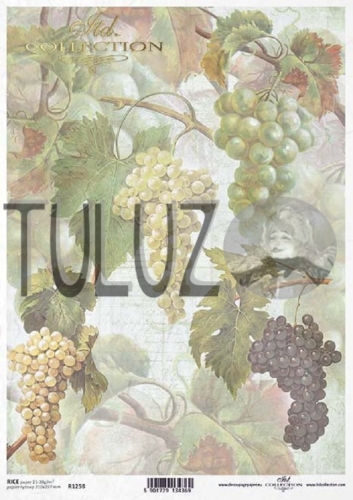 papier ryżowy ITD Collection R1258 tuluz.jpg