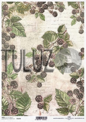 papier ryżowy ITD Collection R1256 tuluz.jpg