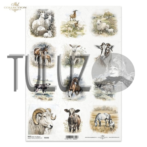 papier ryżowy ITD Collection R2348 tuluz.jpg