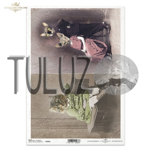 papier ryżowy ITD Collection R1820  tuluz.jpg