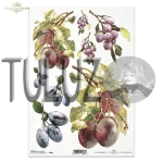 ITD Collection papier ryżowy A4 śliwki węgierki kod.prod.R0435