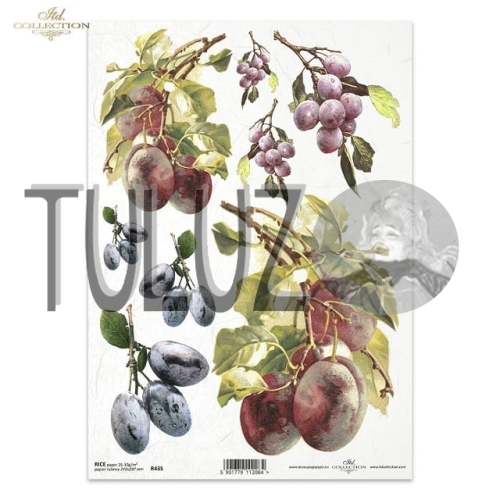 papier ryżowy ITD Collection R0435  tuluz.jpg