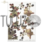 ITD Collection papier ryżowy A4 owoce, jeżyny kod.prod.R0395