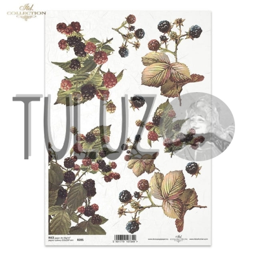 papier ryżowy ITD Collection R0395  tuluz.jpg