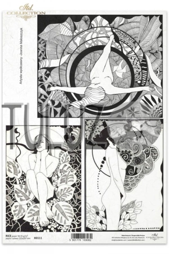 R0111 papier ryżowy Itd Collection tuluz.jpg