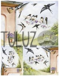 109-bis Decomania Classica  30 X 42