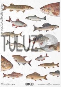 Papier ryżowy ITD Collection-A4