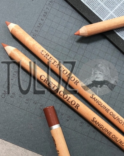 Sangwina ołówek 46202 Cretacolor olejna..jpg
