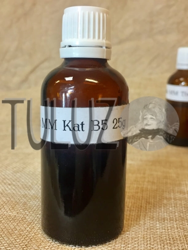 Katalizator MM B5 (MM 928) 25.jpg