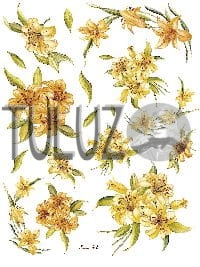 044-bis Decomania Classica  30 X 42