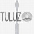 411 szpachle RGM tuluz.PNG