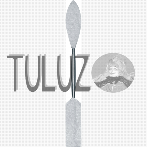 411 szpachle RGM tuluz.PNG
