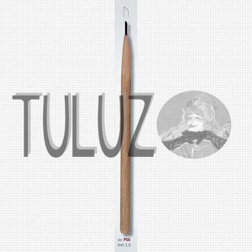 SUCHA IGŁA PS6 RGM TULUZ.PNG