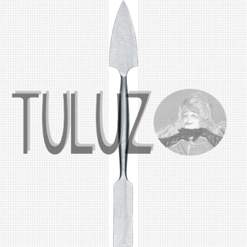402 szpachle RGM tuluz.PNG