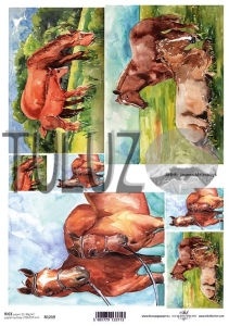 Papier ryżowy ITD Collection-A4