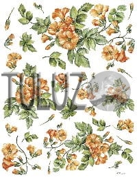 039-bis Decomania Classica  30 X 42